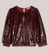 Load image into Gallery viewer, Summum Sparkle Top
