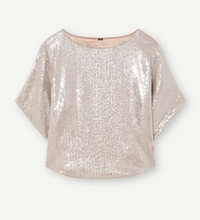 Load image into Gallery viewer, Gustav Sevlie Sequin Top
